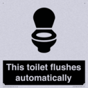 this-toilet-flushes-automatically~